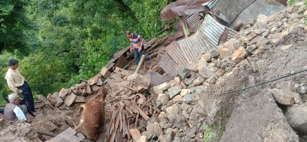 Four cattle buried under debris after wall and cow shed broke due to heavy rains