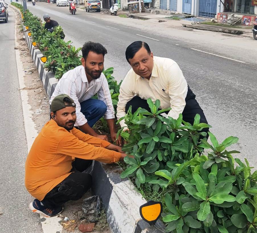 हरित दून का महाअभियान, एक लाख पौधों से एमडीडीए बदलेगा देहरादून की तस्वीर